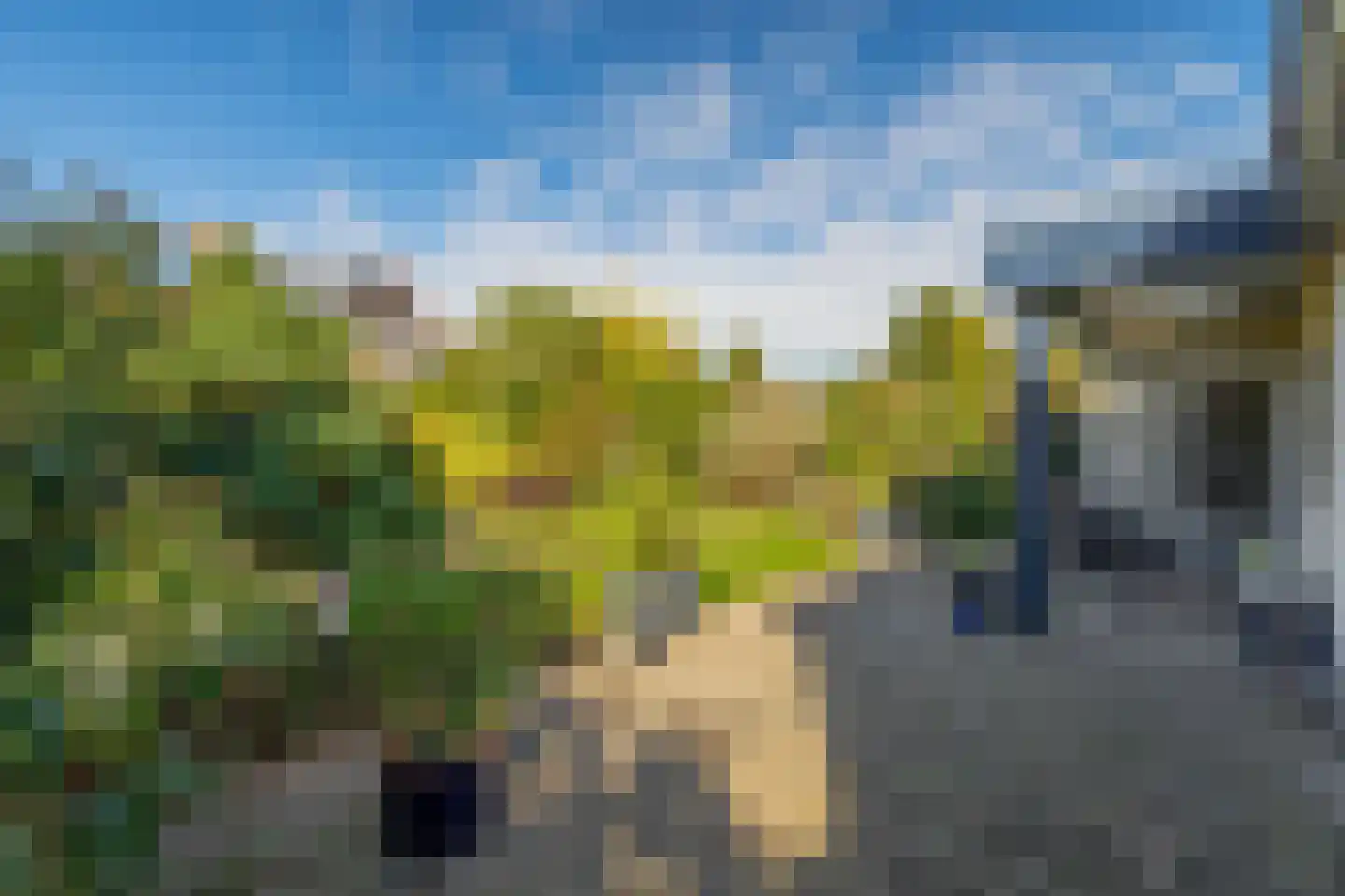 Aan het Broek 65 Belfeld thumbnail 5
