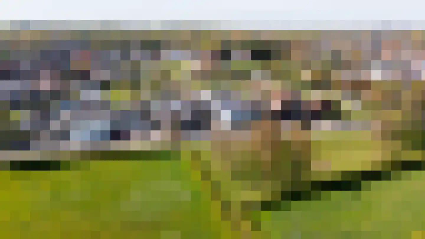 Aan het Broek 87 Sittard thumbnail 59