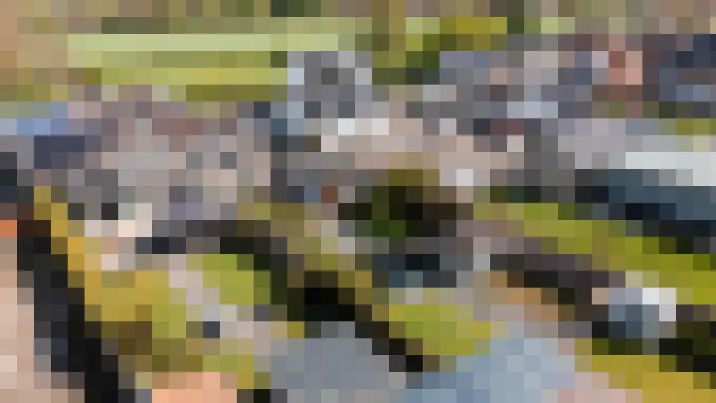 Aan het Broek 87 Sittard thumbnail 60
