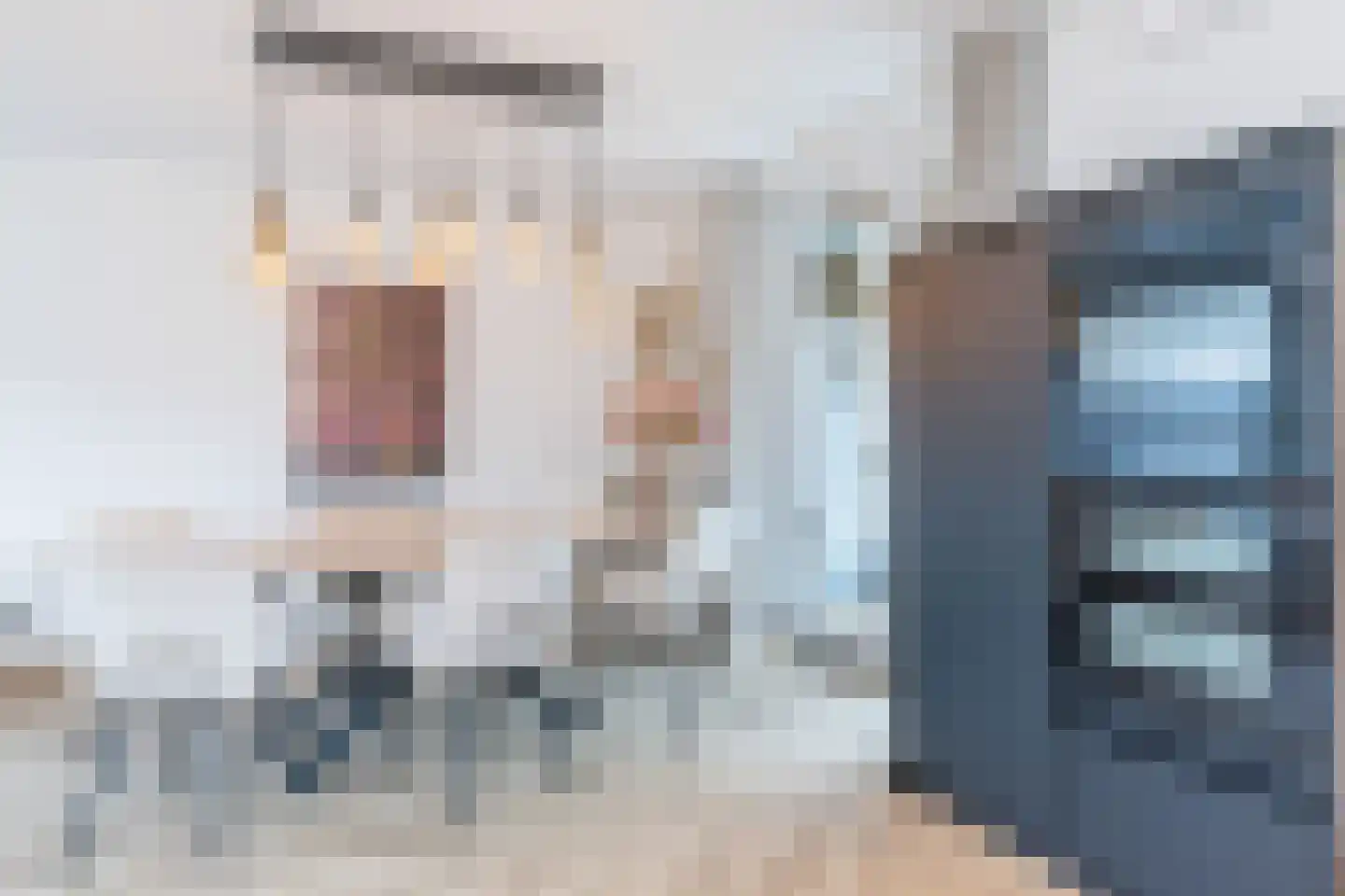 Aan het Lindjen 23 Puth thumbnail 11