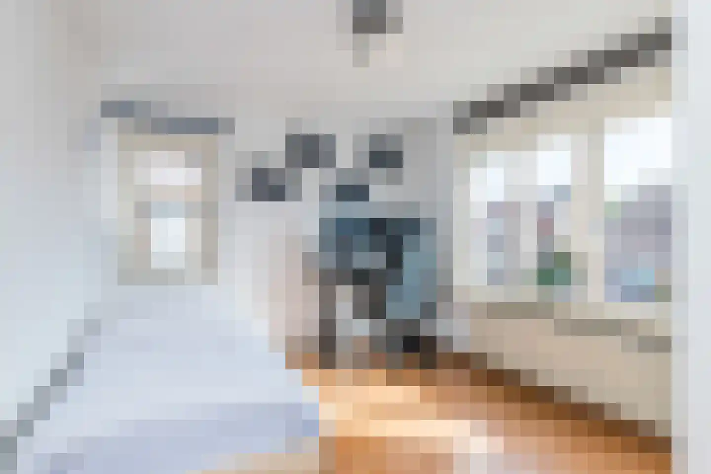 Aan het Lindjen 7 Puth thumbnail 30