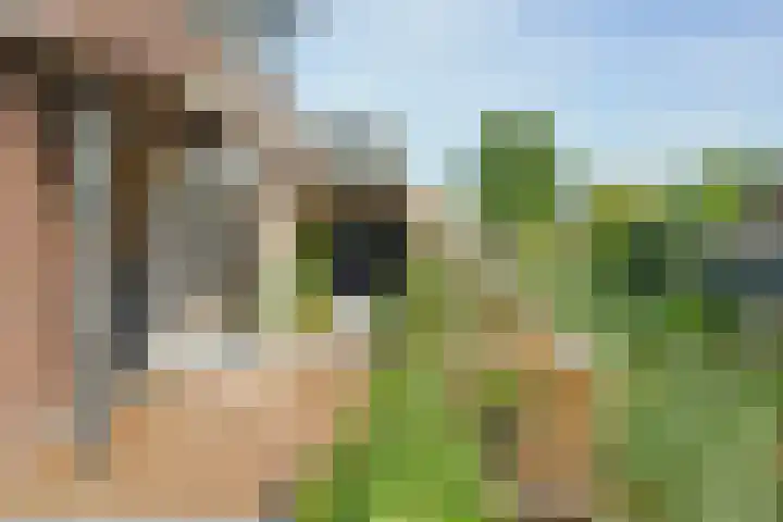 Aan het Spoor 5 Mijdrecht thumbnail 22