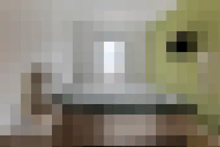 Aan het Spoor 90 Mijdrecht thumbnail 20