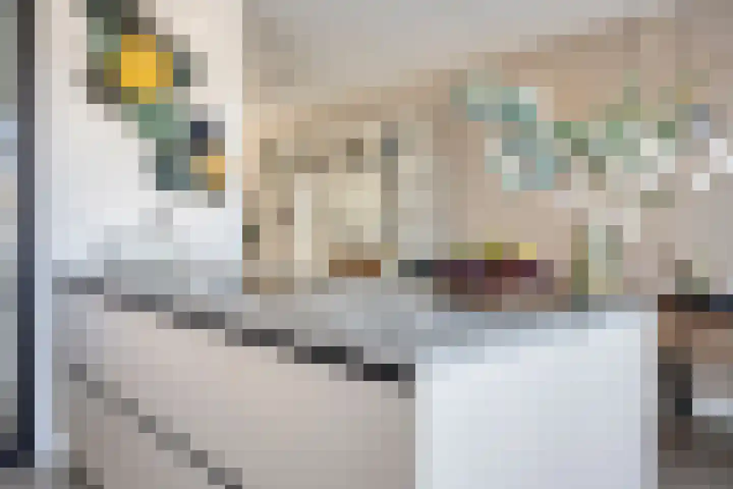 Aan het Stichelen 12 Roermond thumbnail 24