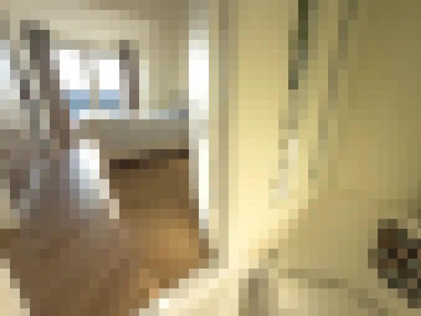 Aan het Stichelen 12 Roermond thumbnail 26