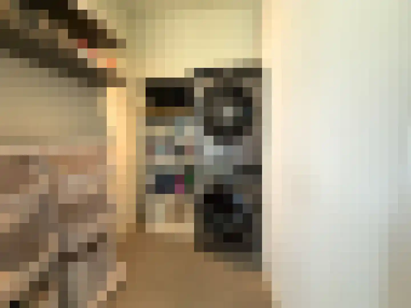 Aan het Stichelen 12 Roermond thumbnail 27