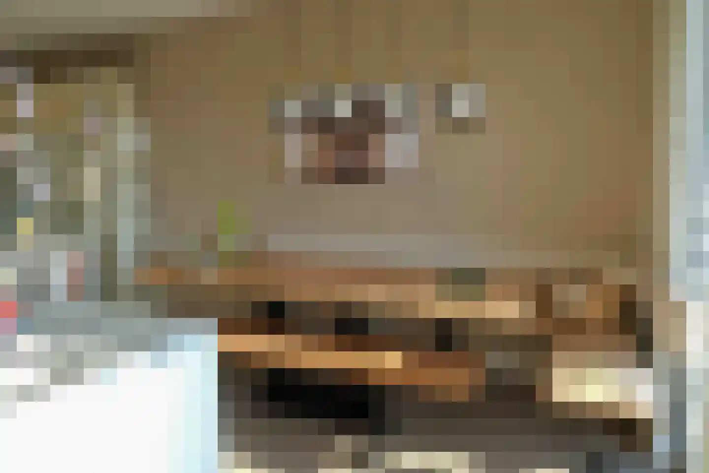 Aan het Stichelen 12 Roermond thumbnail 8