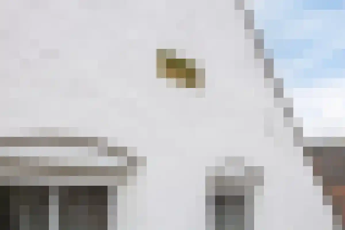 Aan het Water 2 Montfort thumbnail 36
