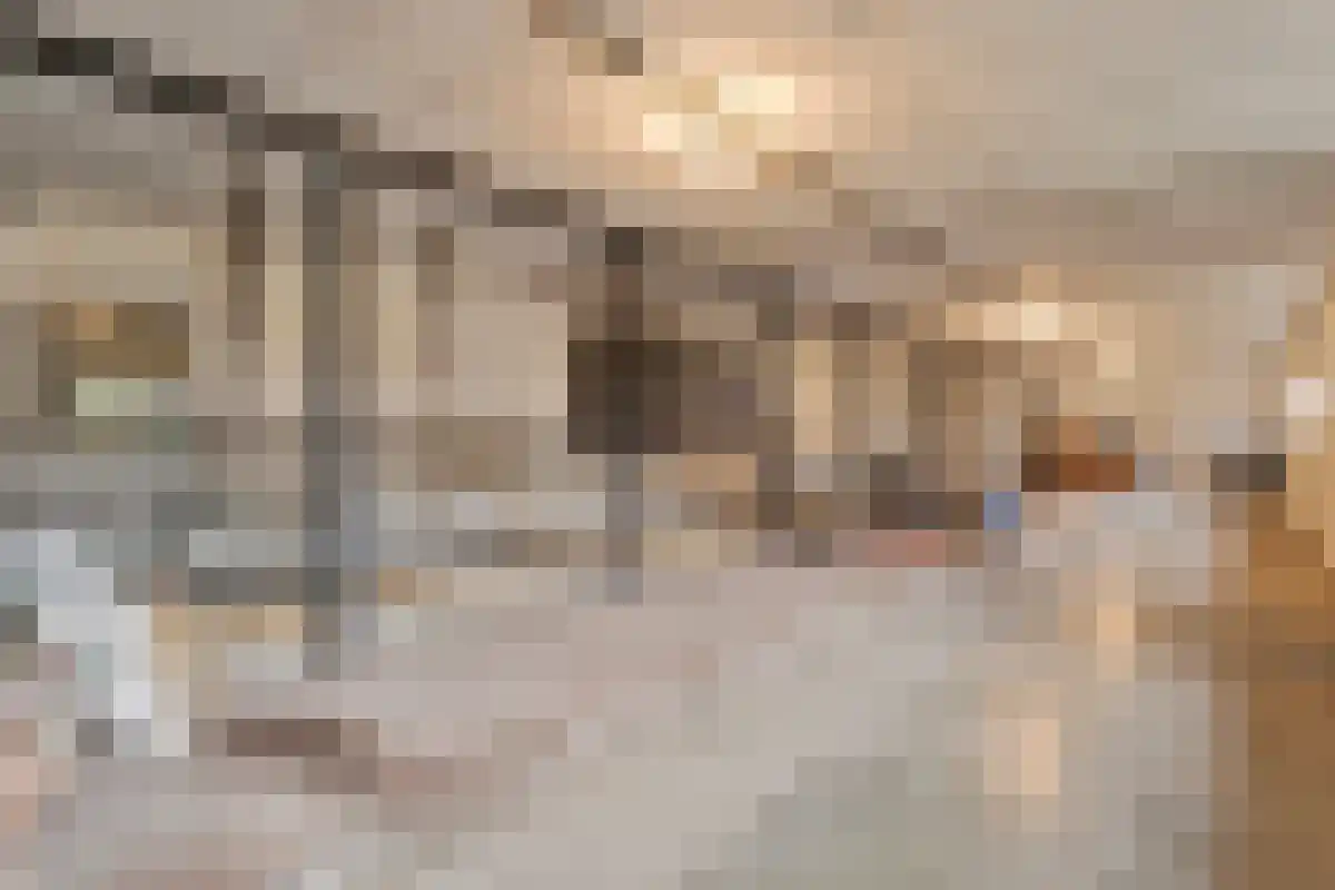 Aan het Water 2 Montfort thumbnail 39
