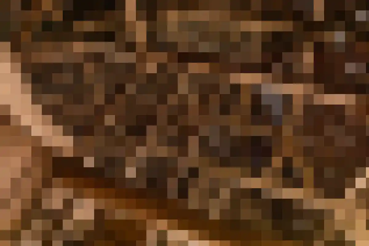 Aan het Water 2 Montfort thumbnail 41