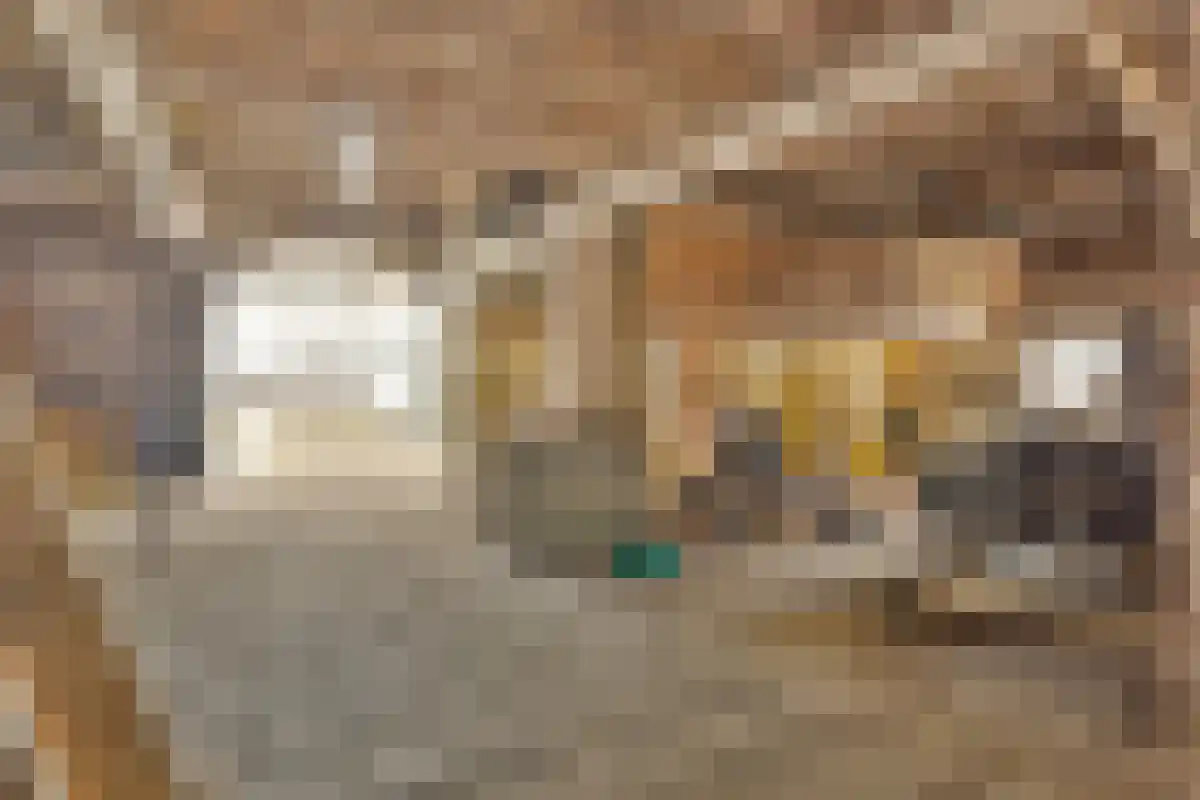 Aan het Water 2 Montfort thumbnail 43