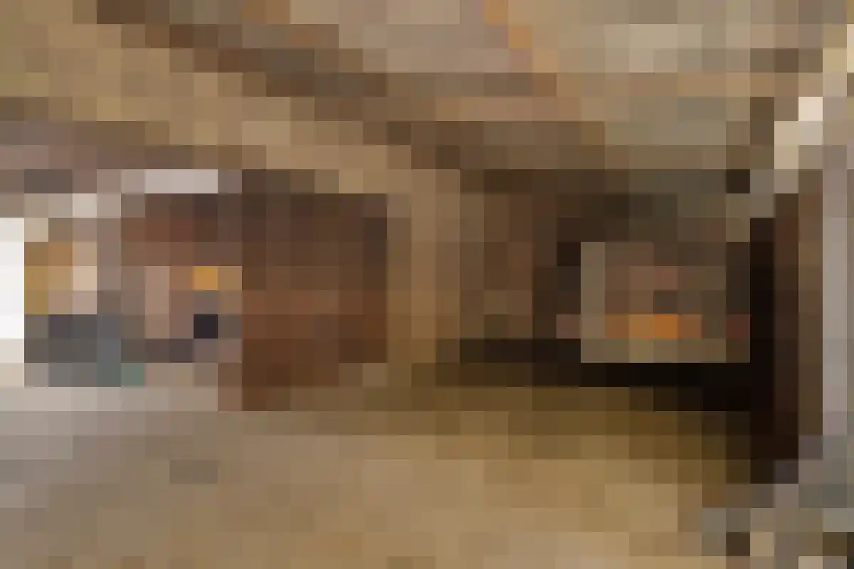 Aan het Water 2 Montfort thumbnail 45