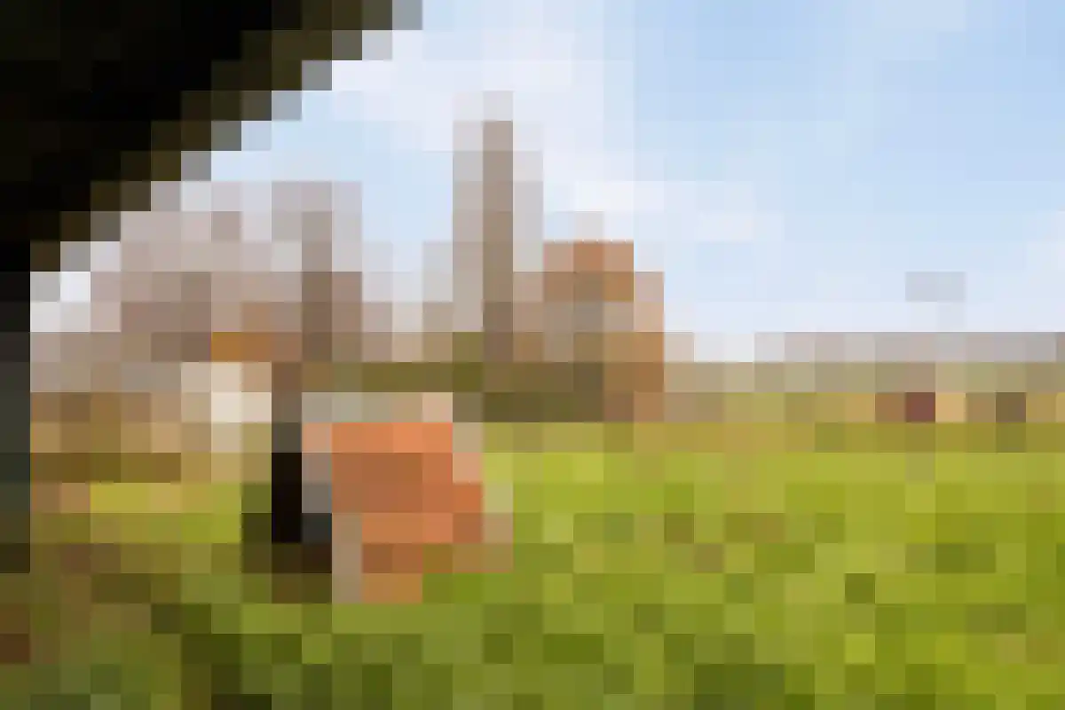 Aan het Water 2 Montfort thumbnail 47