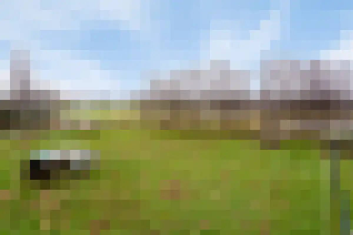 Aan het Water 2 Montfort thumbnail 49