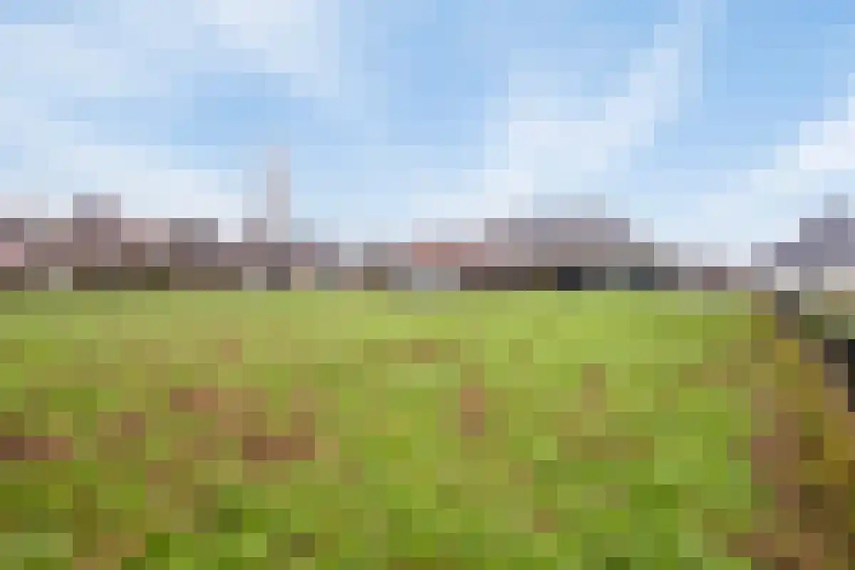 Aan het Water 2 Montfort thumbnail 52