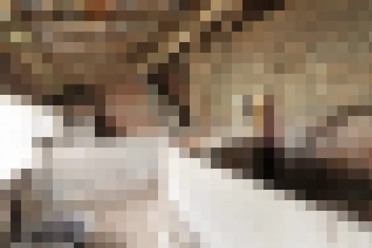 Aan het Water 2 Montfort thumbnail 55