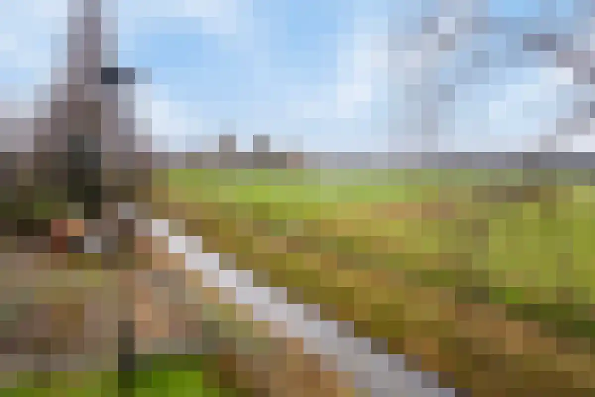 Aan het Water 2 Montfort thumbnail 59