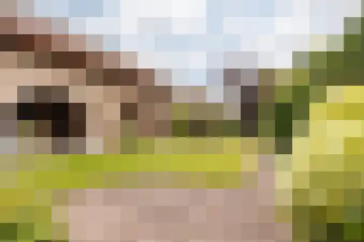 Aan Hiemstenrade 56 Sittard thumbnail 16