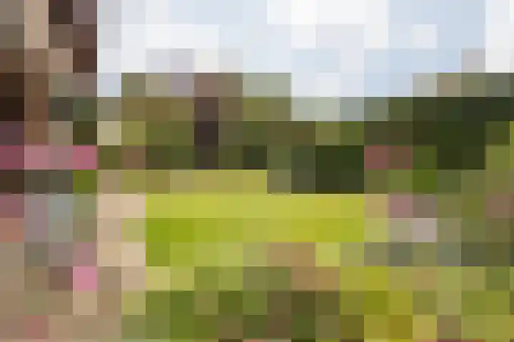 Aan Hiemstenrade 56 Sittard thumbnail 17