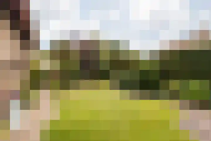 Aan Hiemstenrade 56 Sittard thumbnail 19