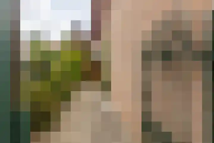 Aan Hiemstenrade 56 Sittard thumbnail 21