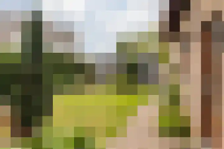 Aan Hiemstenrade 56 Sittard thumbnail 22