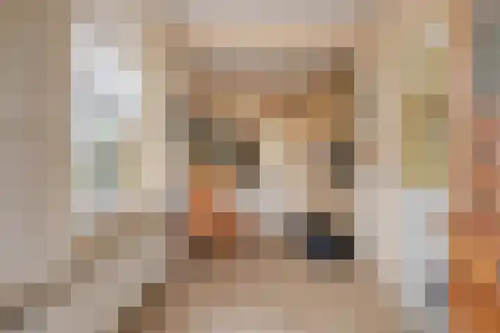 Aan Sanders'Molen 16 Meijel thumbnail 12