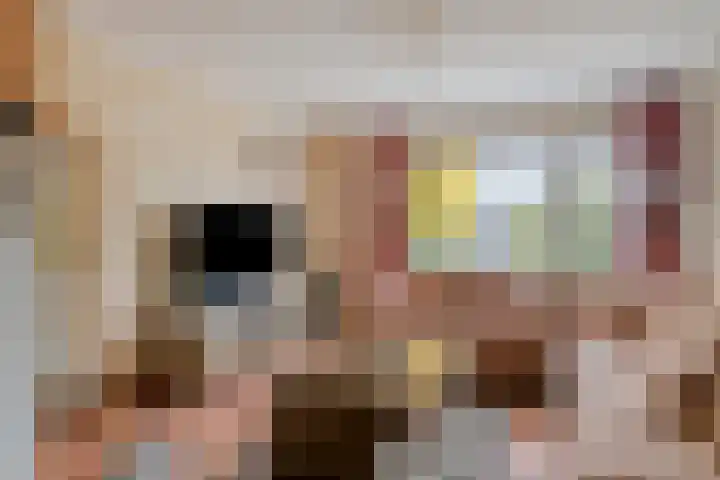 Aan Sanders'Molen 16 Meijel foto 2