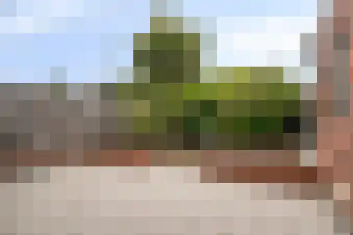 Aan Sanders'Molen 16 Meijel thumbnail 26