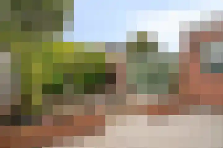 Aan Sanders'Molen 16 Meijel thumbnail 28