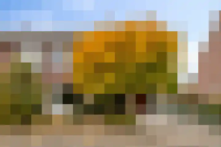 Aan Sanders'Molen 16 Meijel thumbnail 32