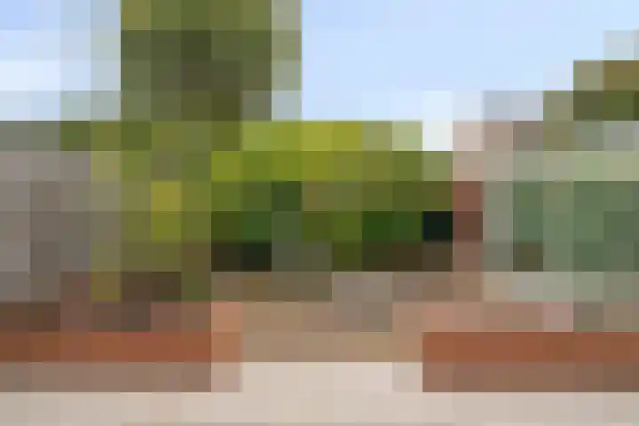 Aan Sanders'Molen 16 Meijel thumbnail 4