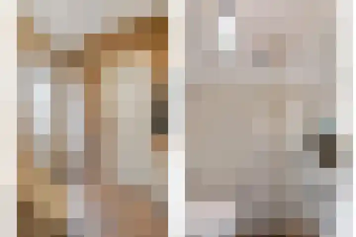 Aan Sanders'Molen 16 Meijel thumbnail 5