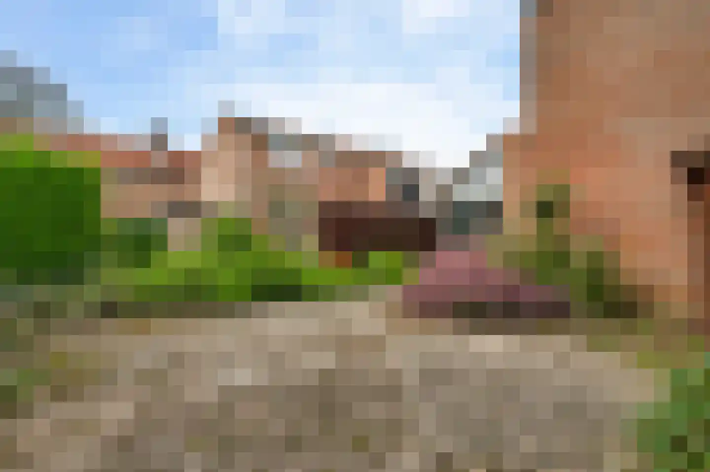 aan Sint Job 3 Thorn thumbnail 32