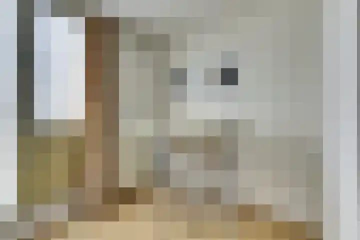 aan 't Erf 11 Arcen thumbnail 10