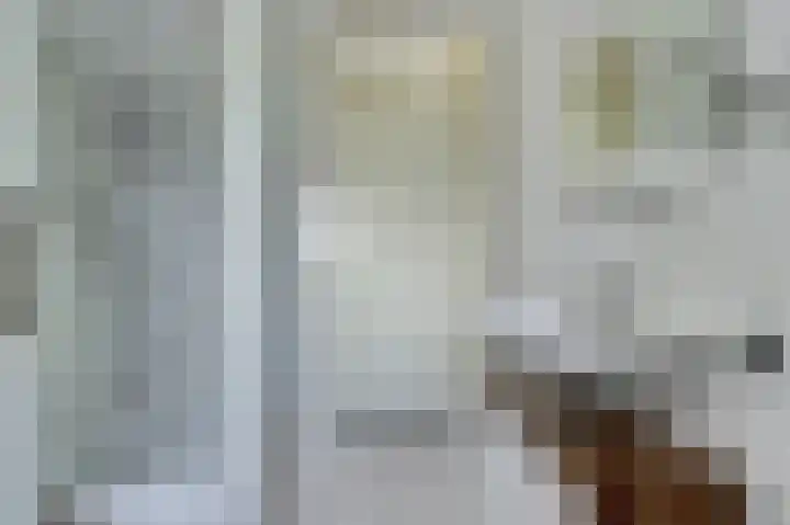 aan 't Erf 11 Arcen thumbnail 15
