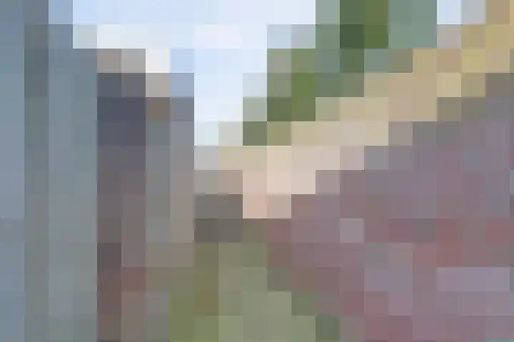 aan 't Erf 11 Arcen thumbnail 21