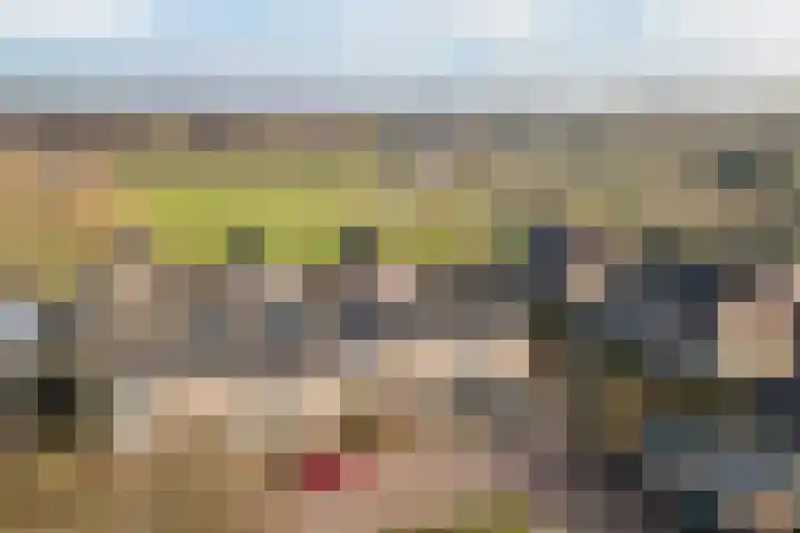 aan 't Erf 11 Arcen thumbnail 23