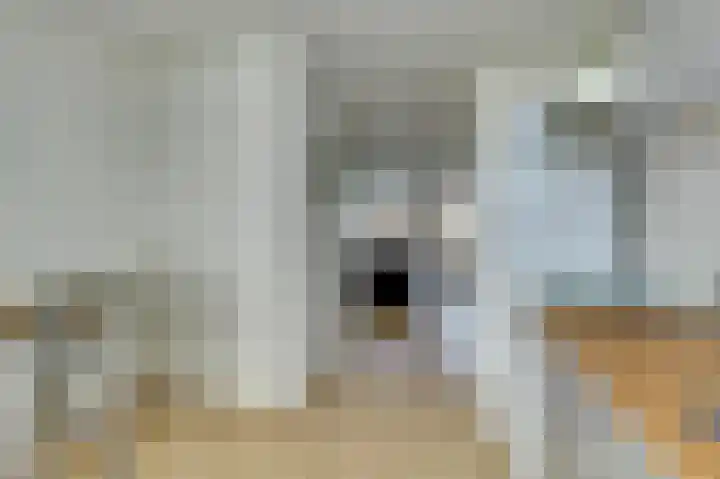 aan 't Erf 11 Arcen foto 3
