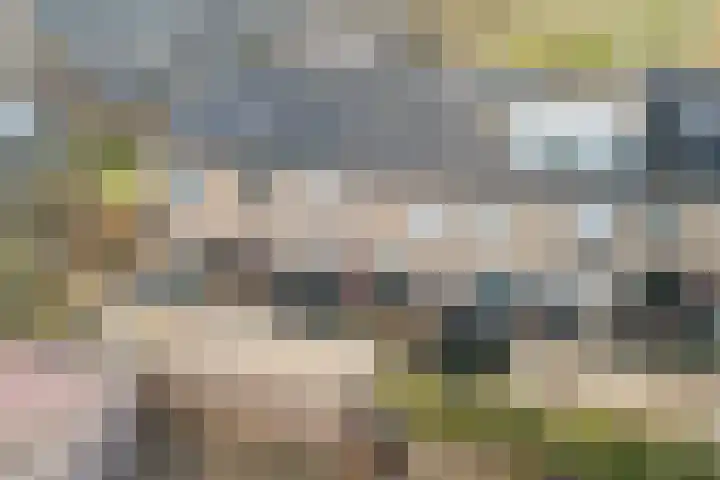 aan 't Erf 11 Arcen thumbnail 5