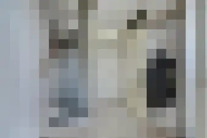 aan 't Erf 11 Arcen thumbnail 7