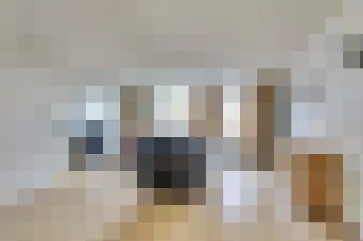 aan 't Erf 11 Arcen thumbnail 8