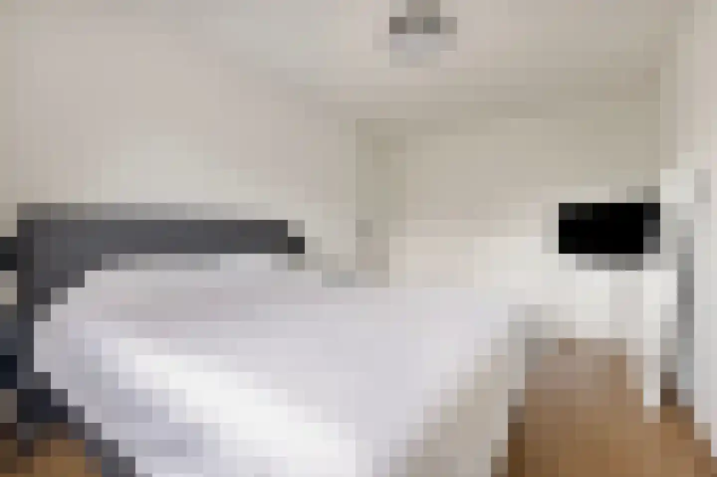 aan 't Erf 9 Arcen thumbnail 15