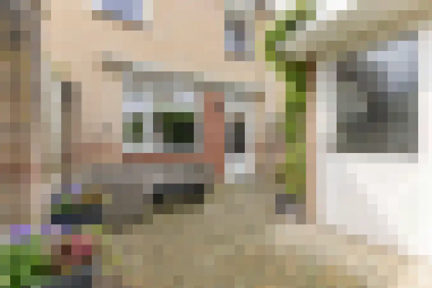 aan 't Erf 9 Arcen thumbnail 29