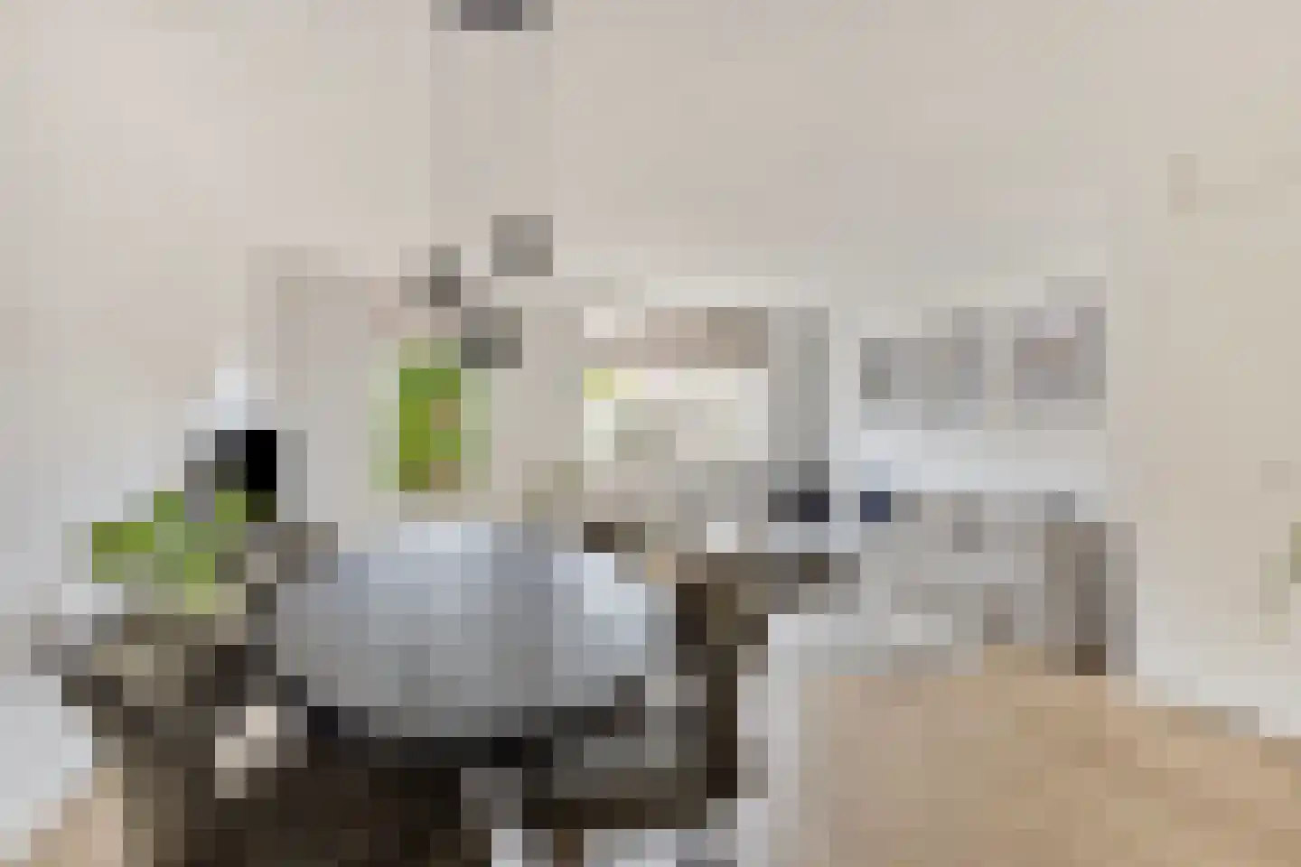 aan 't Erf 9 Arcen foto 3