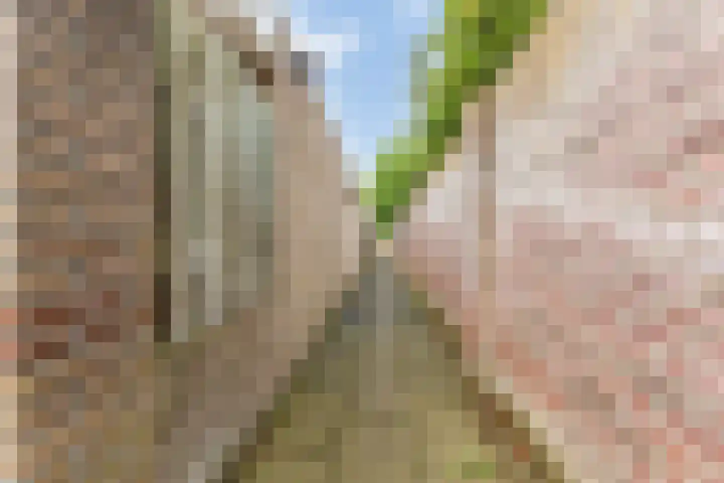 aan 't Erf 9 Arcen thumbnail 30