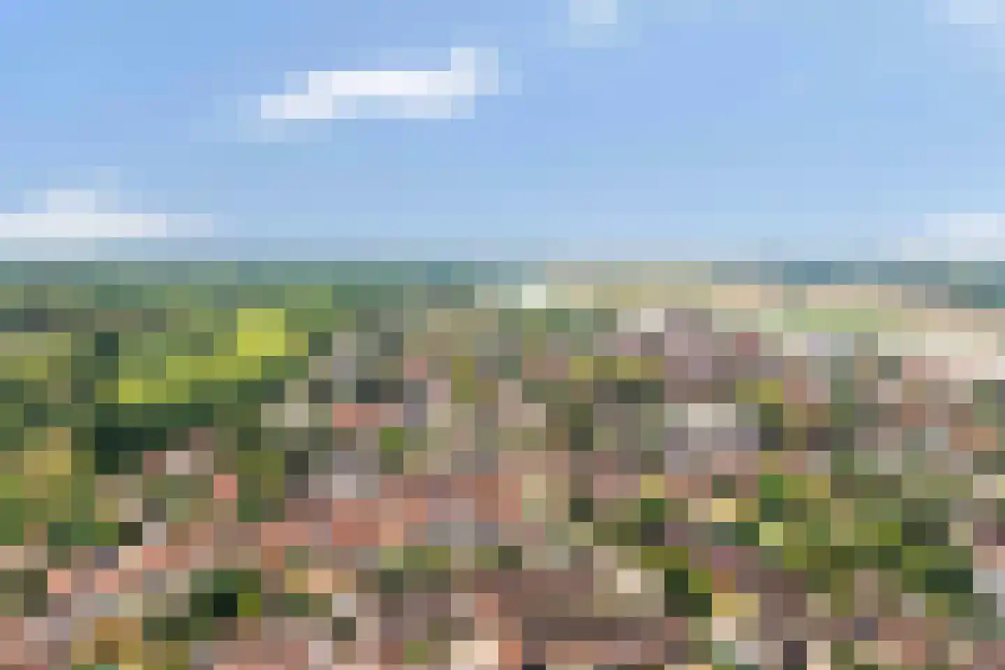 aan 't Erf 9 Arcen thumbnail 35
