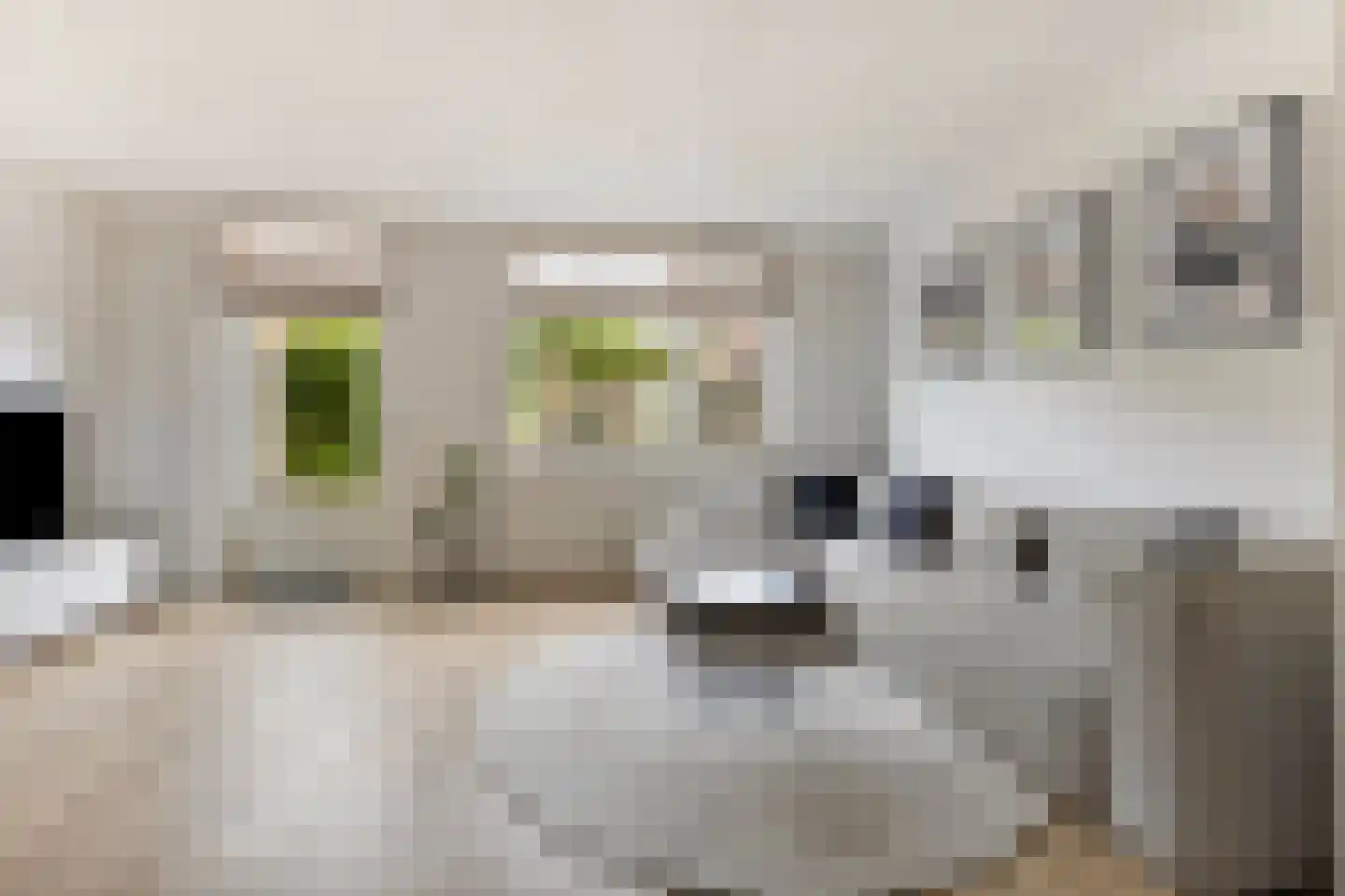 aan 't Erf 9 Arcen thumbnail 4