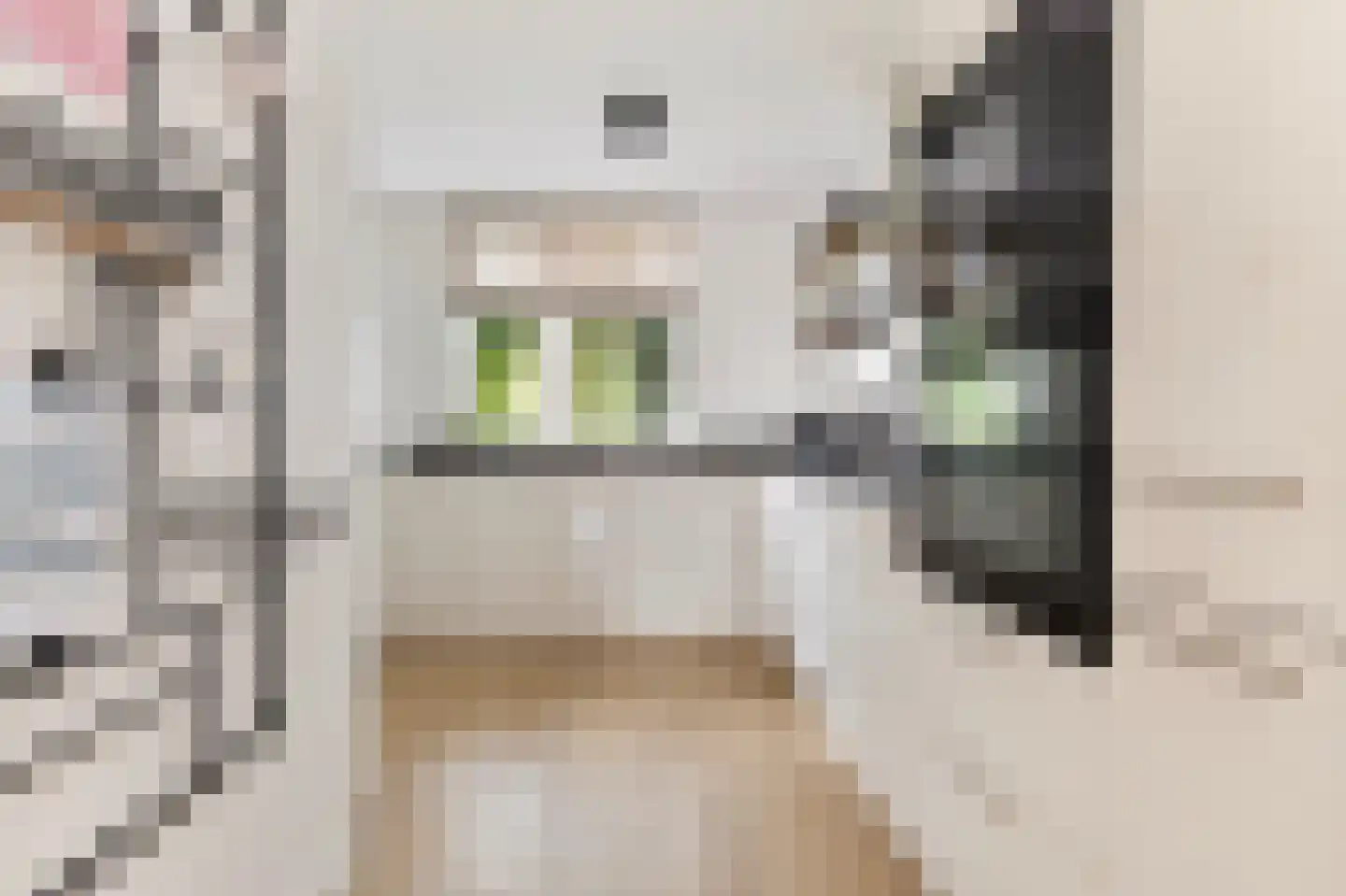 aan 't Erf 9 Arcen thumbnail 7
