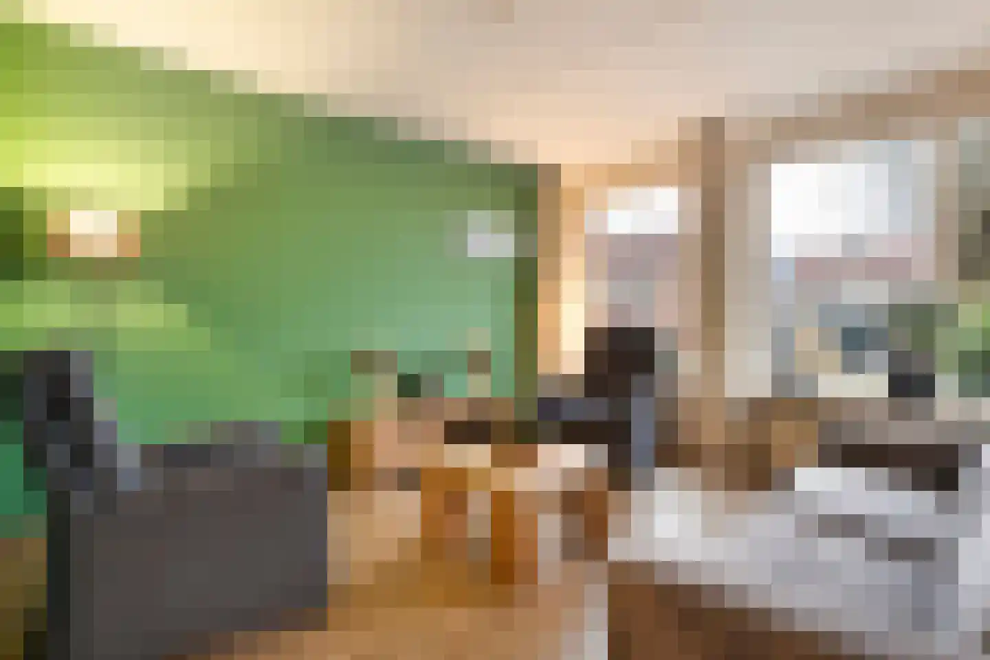 Aan 't Spoor 5 Vroomshoop thumbnail 15